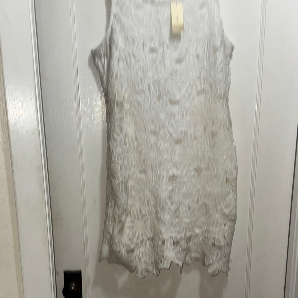 Japna Cream Floral Lace Mini Dress